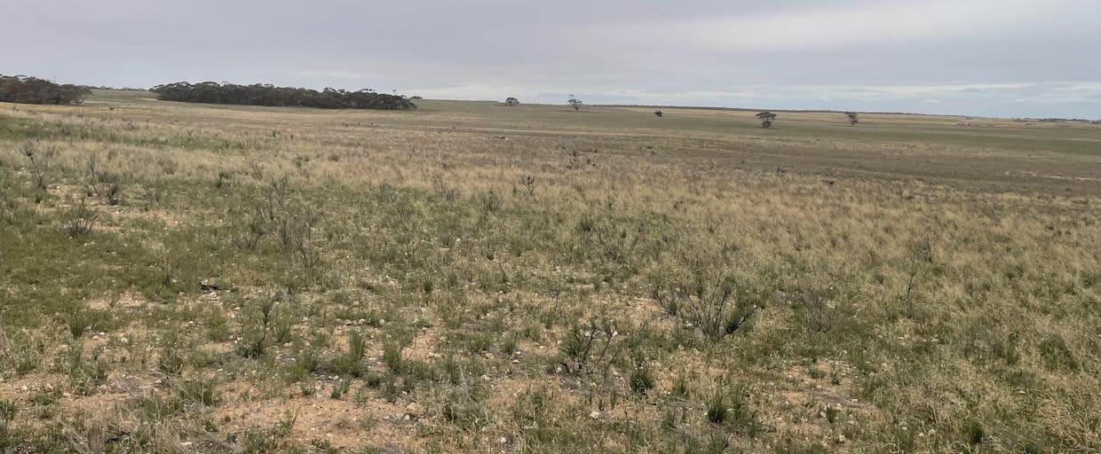 2440 Black Hill Road, Black Hill, SA, 5353 - Image 15