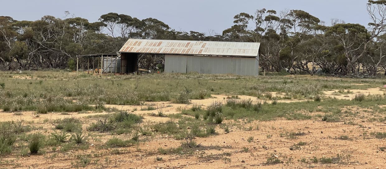 2440 Black Hill Road, Black Hill, SA, 5353 - Image 1