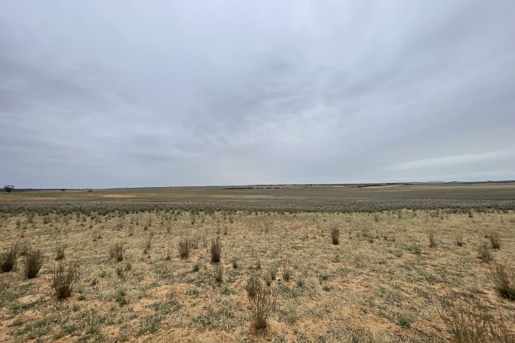 2440 Black Hill Road, Black Hill, SA, 5353 - Image 17