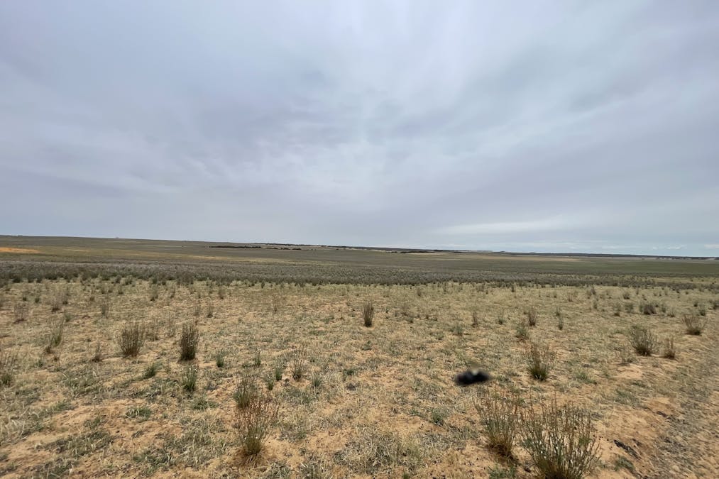 2440 Black Hill Road, Black Hill, SA, 5353 - Image 20