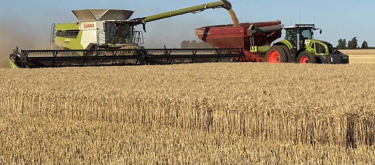 166 Bandys Road, Binya, NSW, 2665 - Image 2