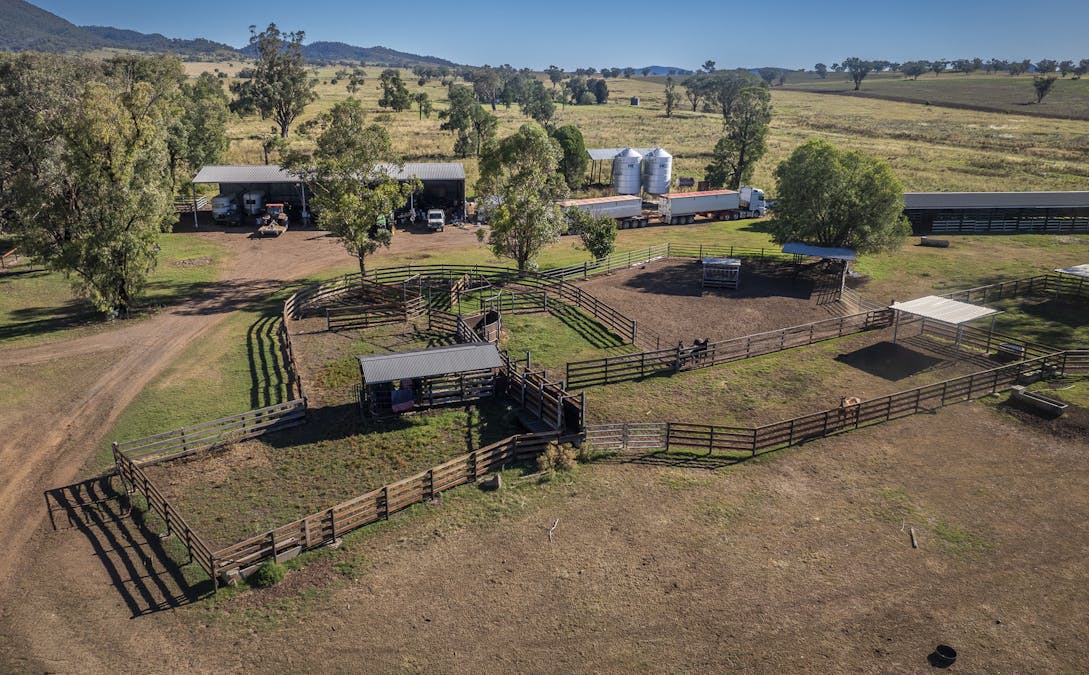 Warragundi West 289 Scotts Lane, Currabubula, NSW, 2342 - Image 14