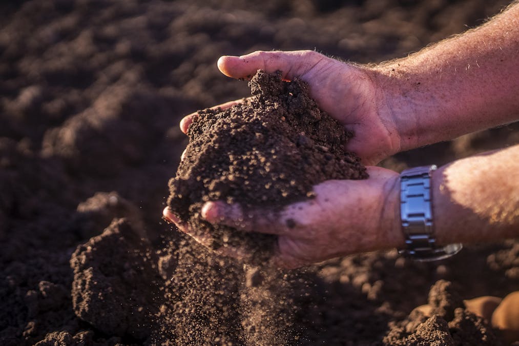 Warragundi West 289 Scotts Lane, Currabubula, NSW, 2342 - Image 28