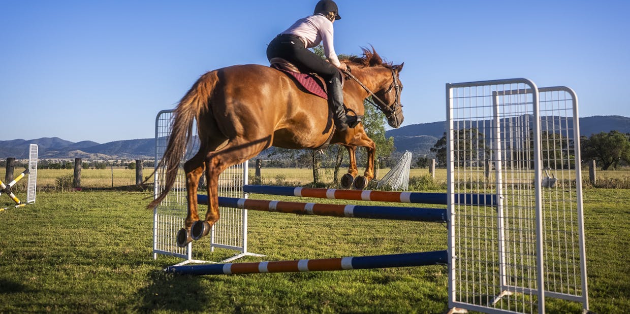 Warragundi West 289 Scotts Lane, Currabubula, NSW, 2342 - Image 33