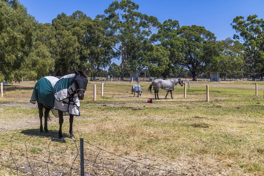 1201 Railway Parade, Bullsbrook, WA, 6084 - Image 3