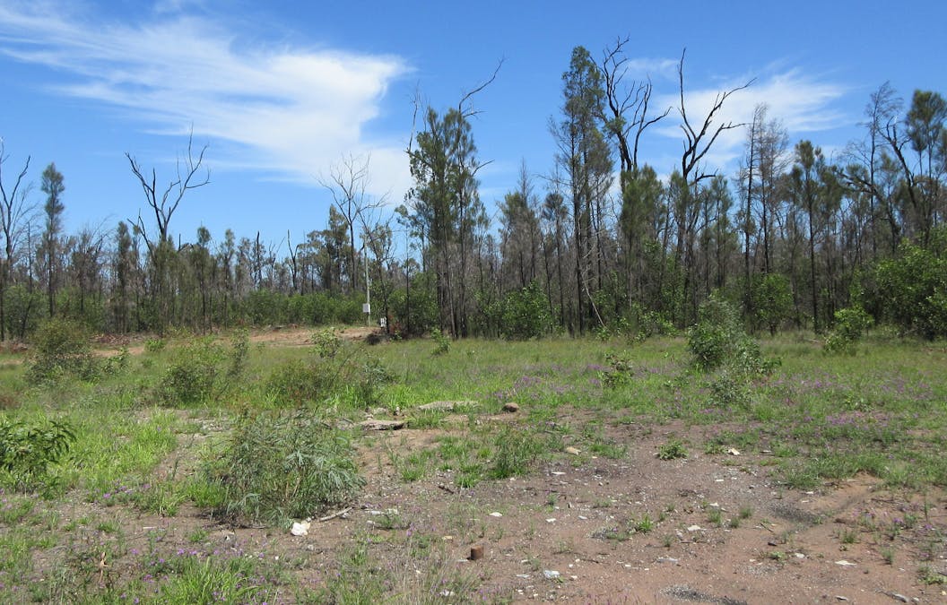 #48 Kookaburra Drive, Tara, QLD, 4421 - Image 5