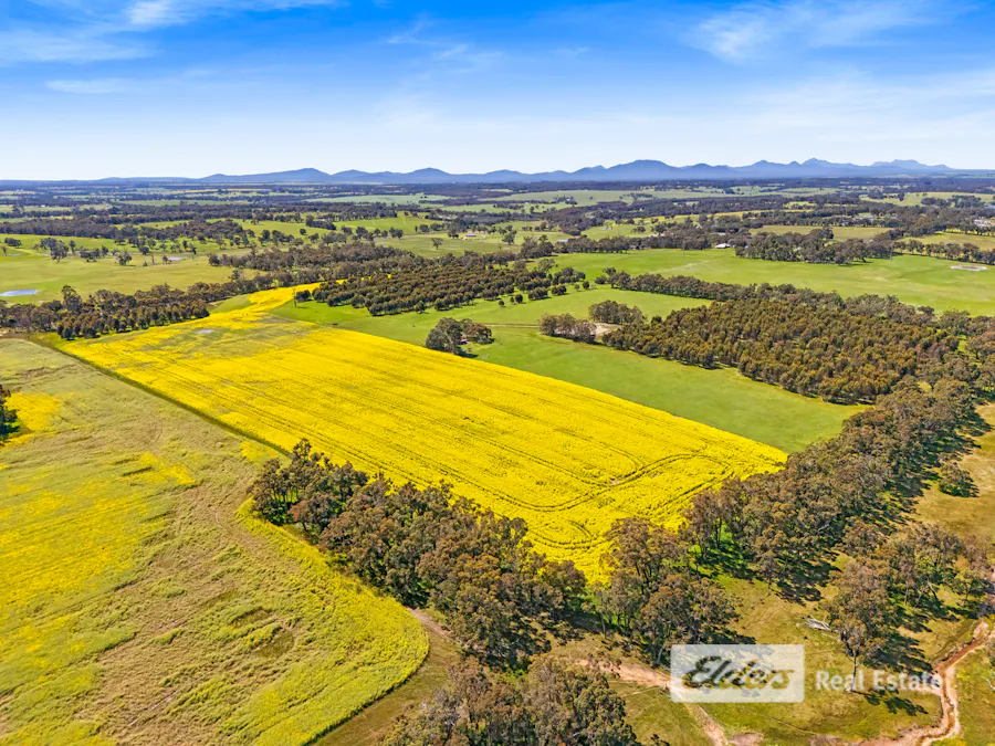 225 West Beattie Road, Mount Barker, WA, 6324 - Image 1