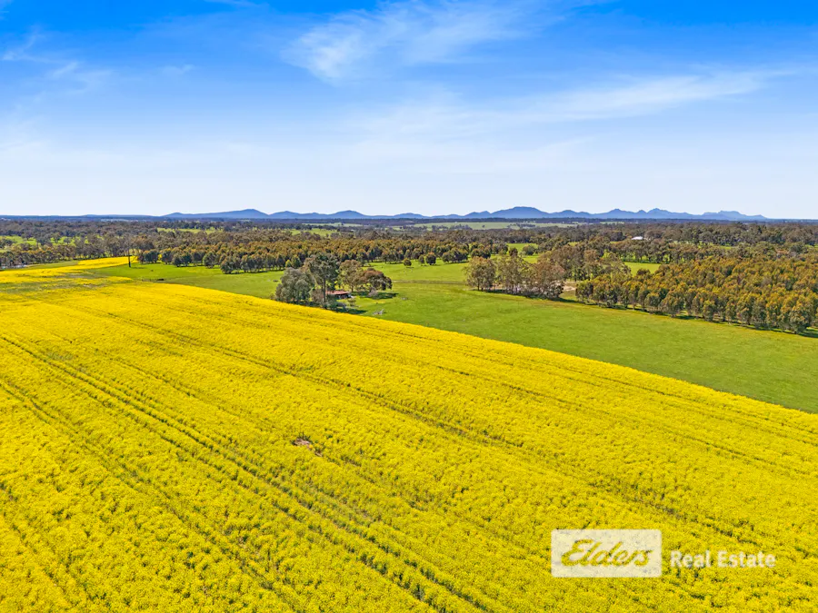 225 West Beattie Road, Mount Barker, WA, 6324 - Image 4