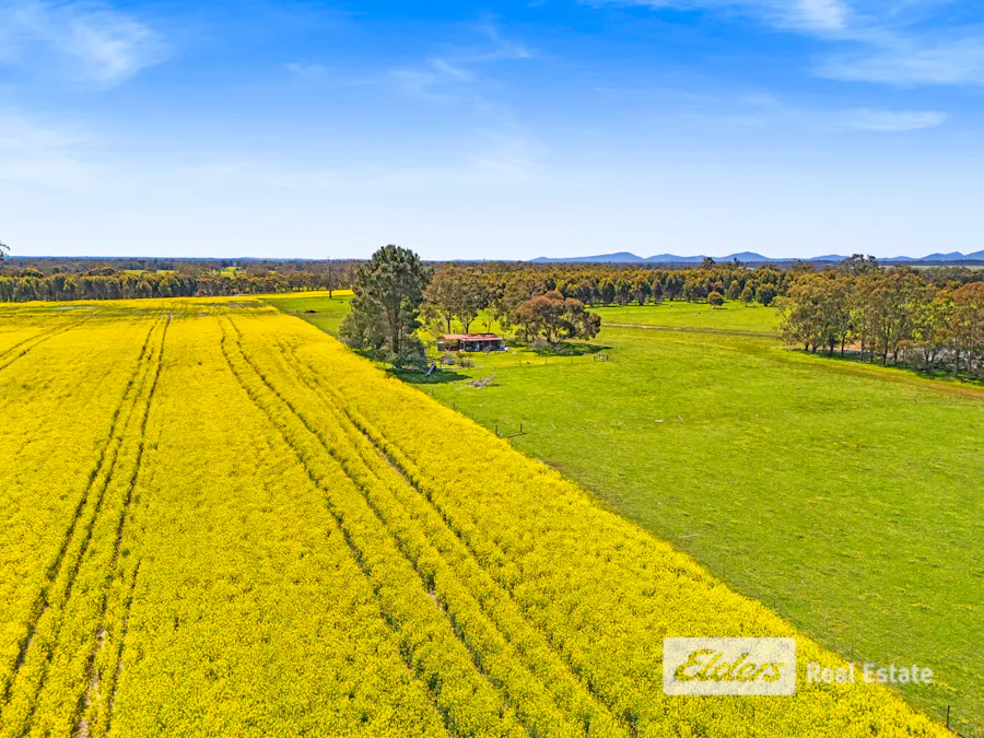 225 West Beattie Road, Mount Barker, WA, 6324 - Image 5