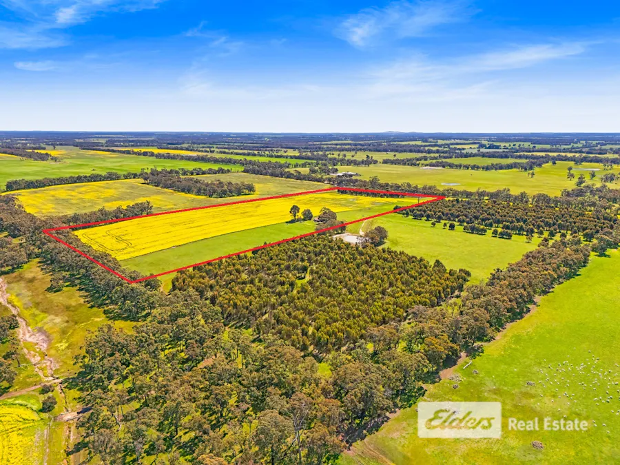 225 West Beattie Road, Mount Barker, WA, 6324 - Image 3