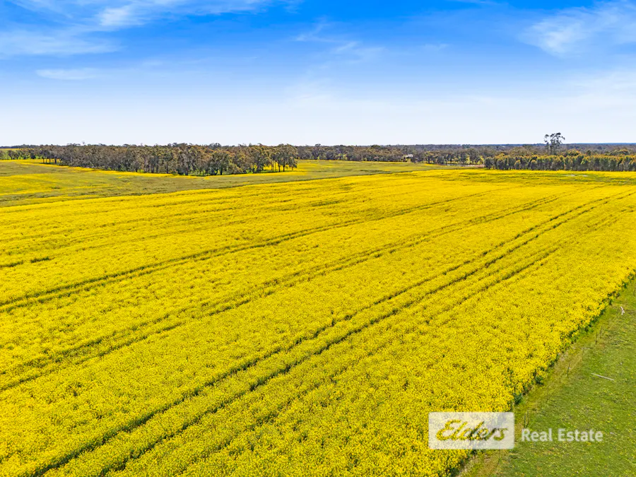 225 West Beattie Road, Mount Barker, WA, 6324 - Image 6