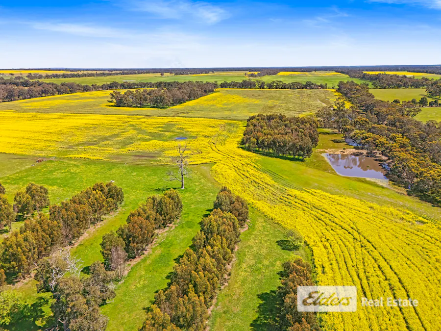 225 West Beattie Road, Mount Barker, WA, 6324 - Image 7