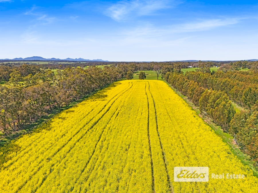 225 West Beattie Road, Mount Barker, WA, 6324 - Image 8