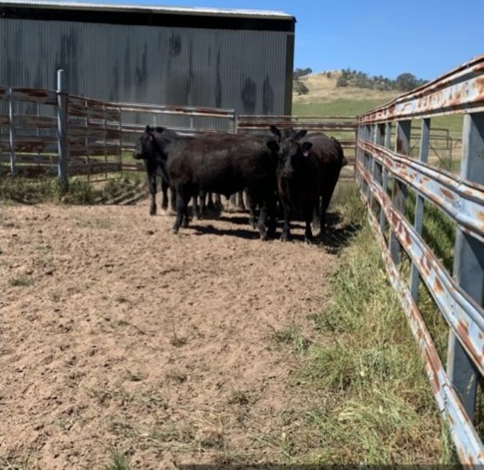 126 Sugarloaf Road, Sheans Creek, VIC, 3666 - Image 24