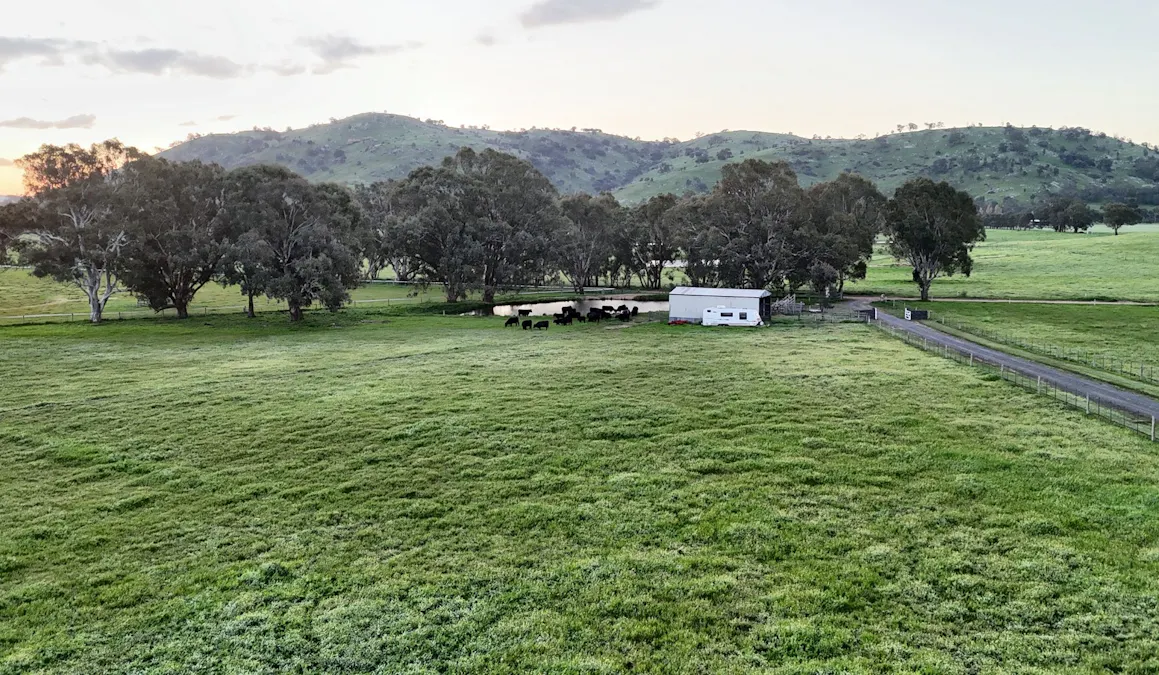 126 Sugarloaf Road, Sheans Creek via , Euroa, VIC, 3666 - Image 3