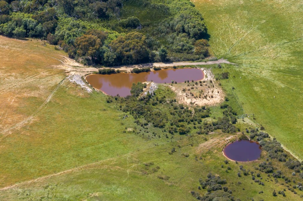 157 Berrymans Road, Gosse, SA, 5223 - Image 20