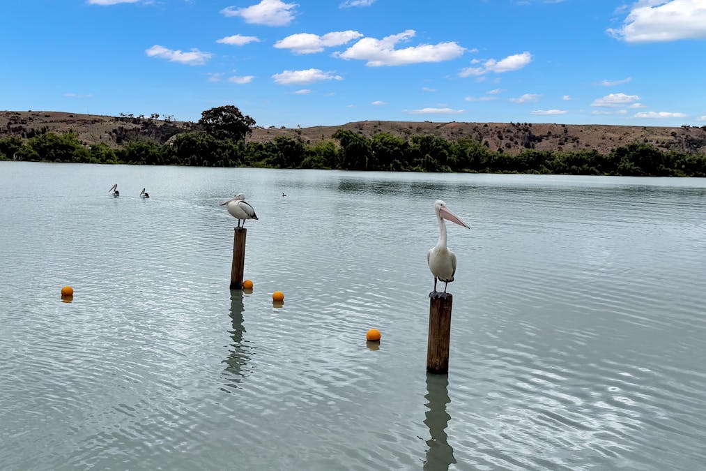 9 Murray Avenue, Woodlane, SA, 5254 - Image 29