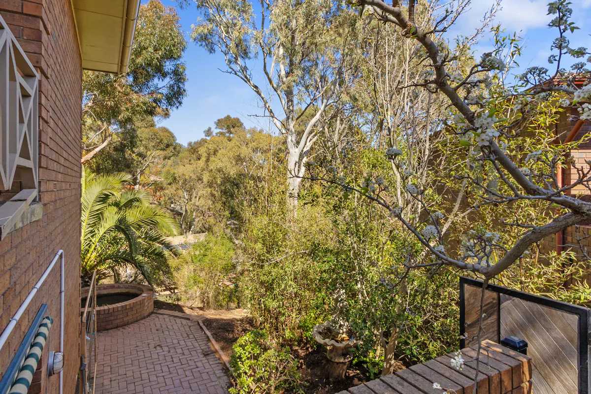 3 Eucalypt Court — photo 22 of 25