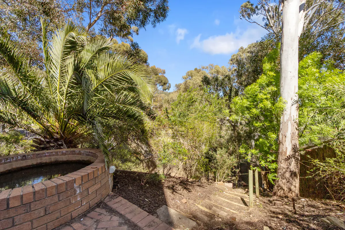 3 Eucalypt Court — photo 19 of 25