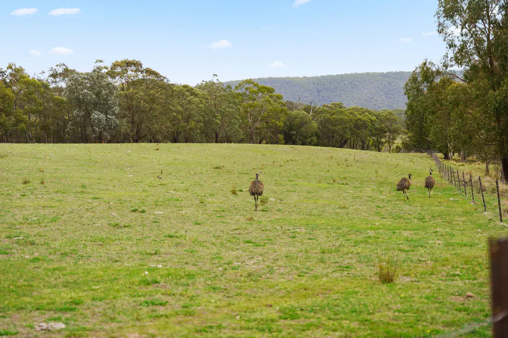 120 Greenwich Meadows Road, Greenwich Park, NSW, 2580 - Image 35