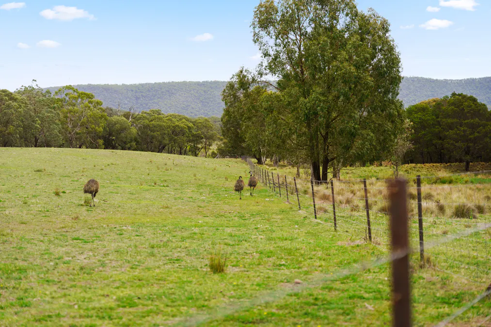 120 Greenwich Meadows Road, Greenwich Park, NSW, 2580 - Image 5