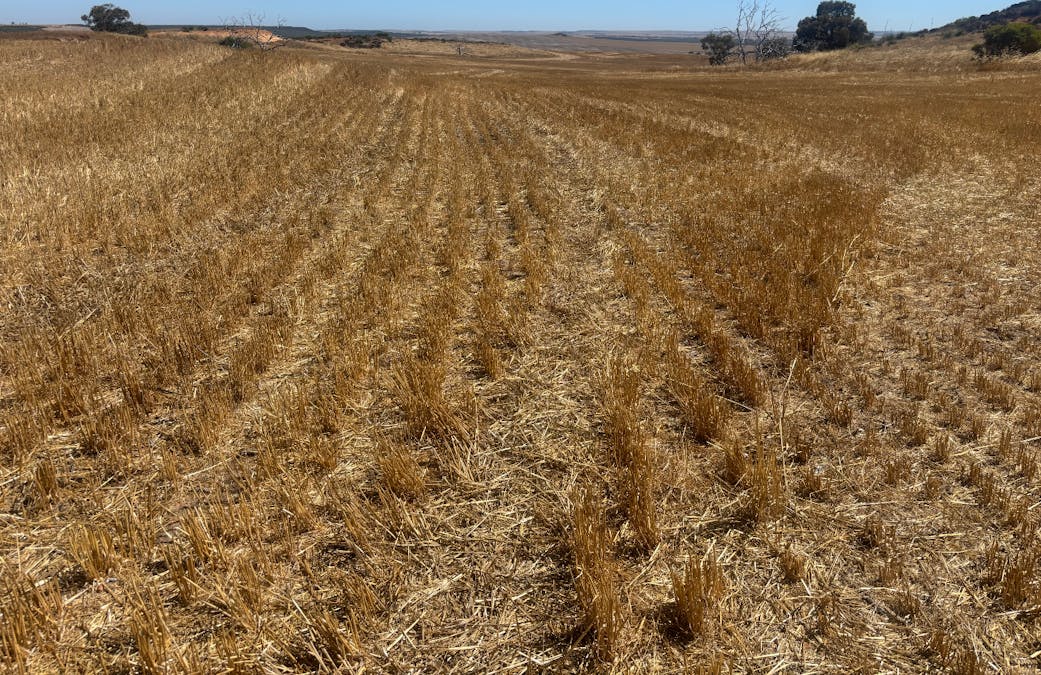 6062 Coorow-Greenhead Road, Warradarge, WA, 6518 - Image 22