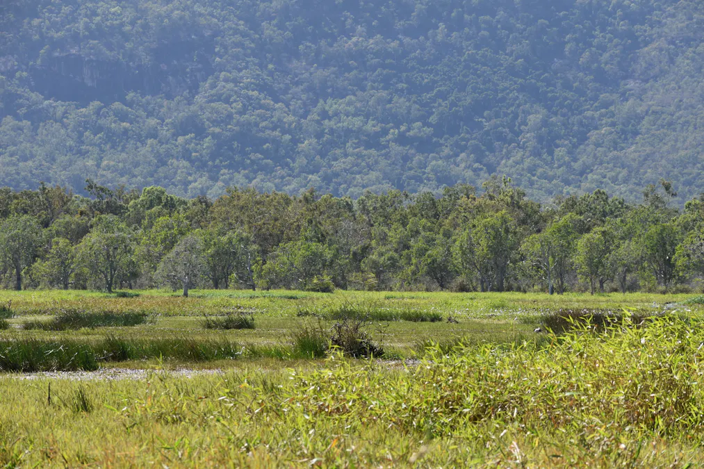 67 Maconachies Road, Majors Creek, QLD, 4816 - Image 2