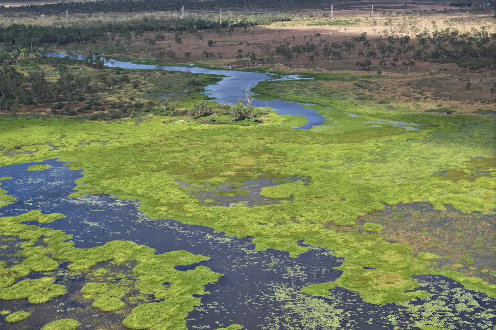 67 Maconachies Road, Majors Creek, QLD, 4816 - Image 4