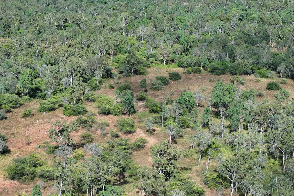 67 Maconachies Road, Majors Creek, QLD, 4816 - Image 6