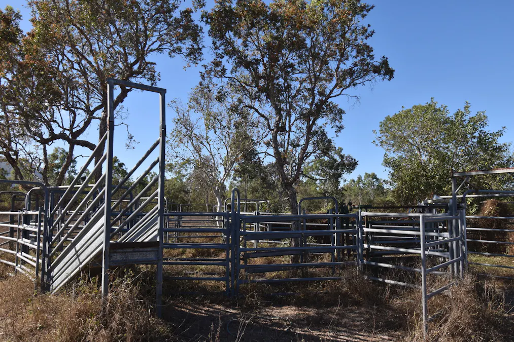 67 Maconachies Road, Majors Creek, QLD, 4816 - Image 10