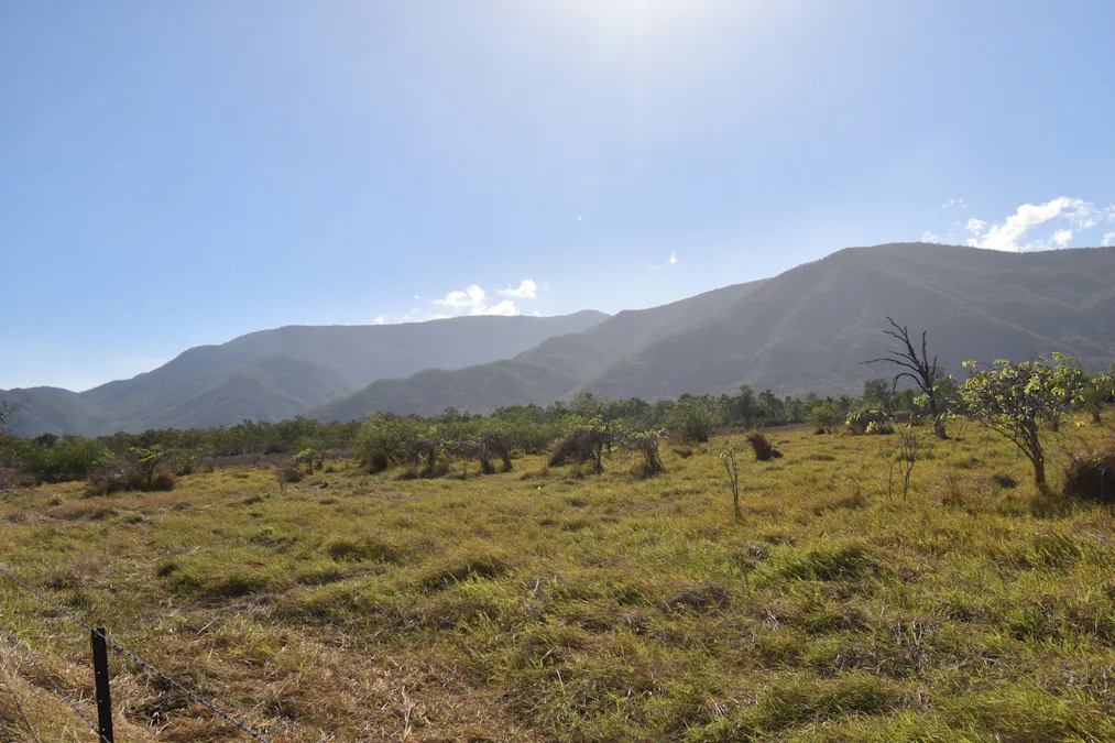 67 Maconachies Road, Majors Creek, QLD, 4816 - Image 12