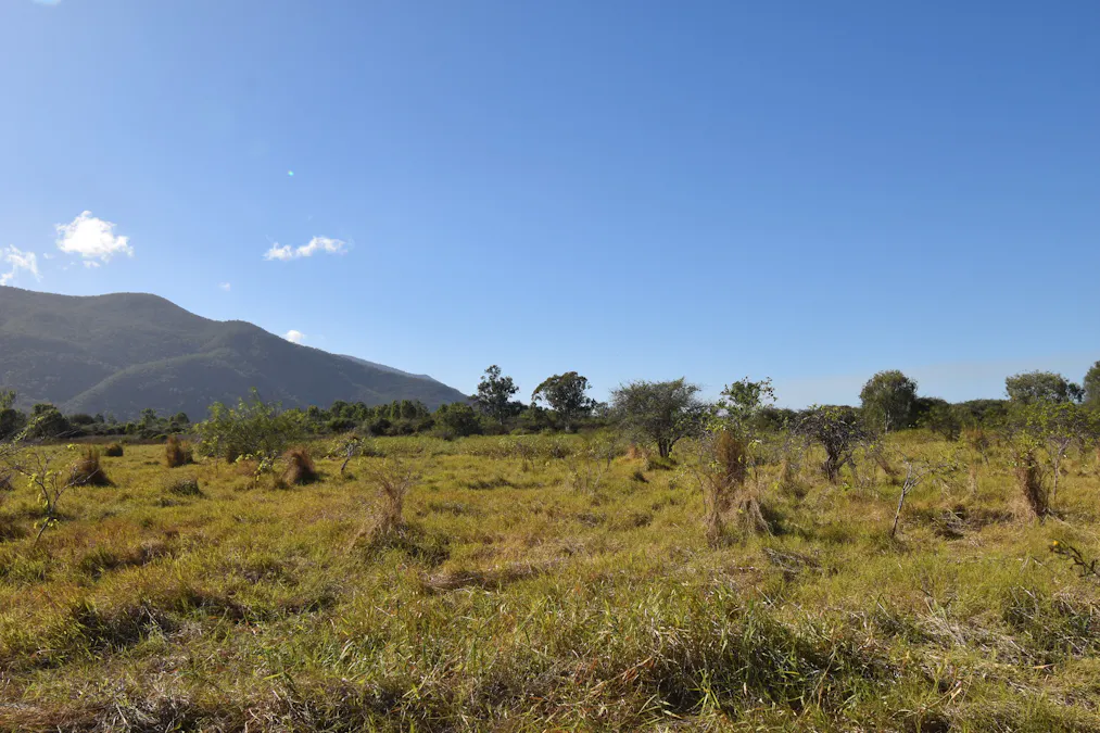 67 Maconachies Road, Majors Creek, QLD, 4816 - Image 13