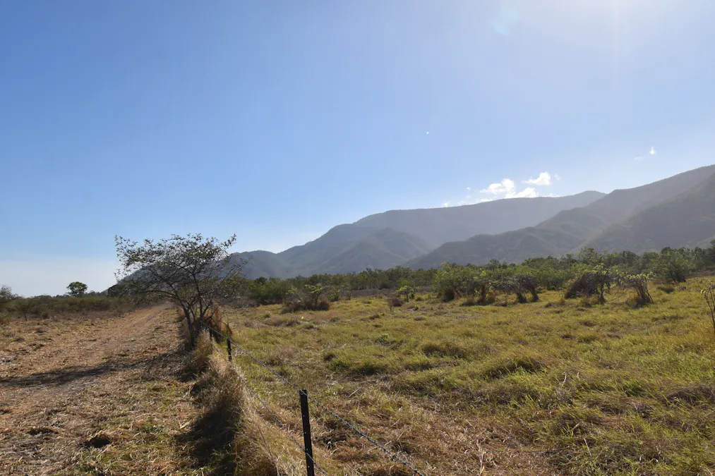 67 Maconachies Road, Majors Creek, QLD, 4816 - Image 14