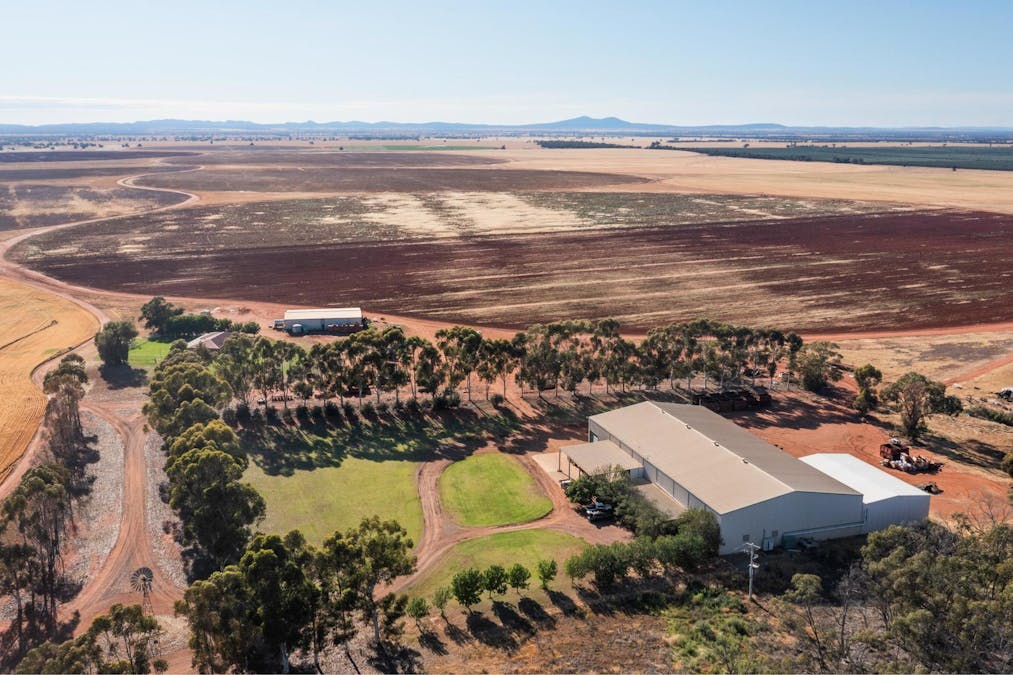 12766 Kidman Way, Hillston, NSW, 2675 - Image 15