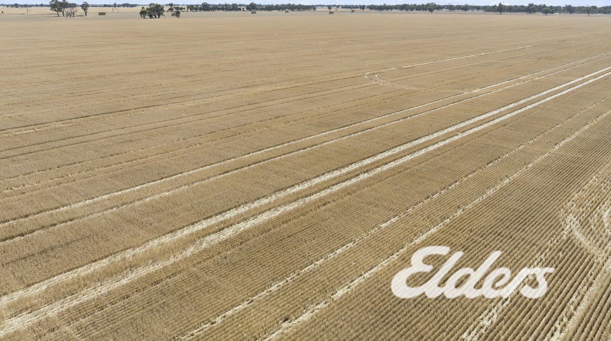 381 Old Wilby Road, Yarrawonga, VIC, 3730 - Image 7