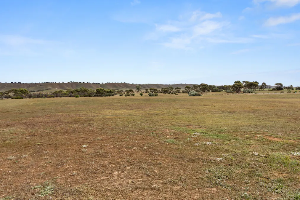 787 Stock Route Road, Robertstown, SA, 5381 - Image 25