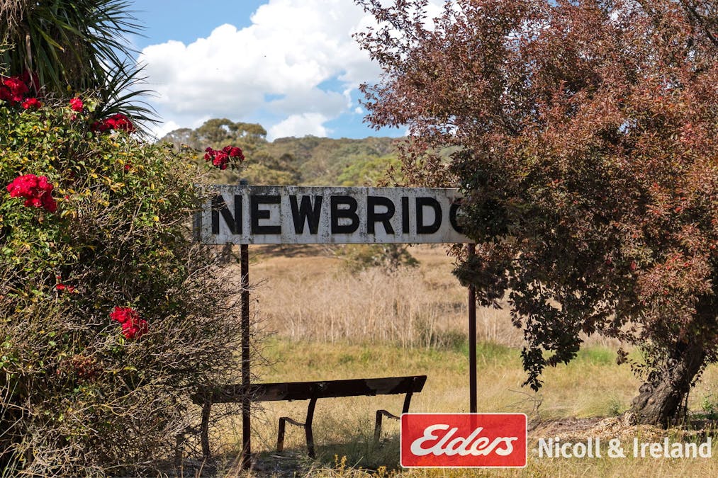 18 Campbell Street, Newbridge, NSW, 2795 - Image 9