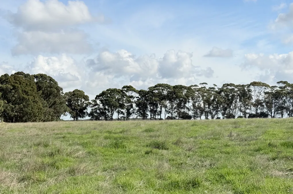 102/238 Link Road, Marbelup, WA, 6330 - Image 9