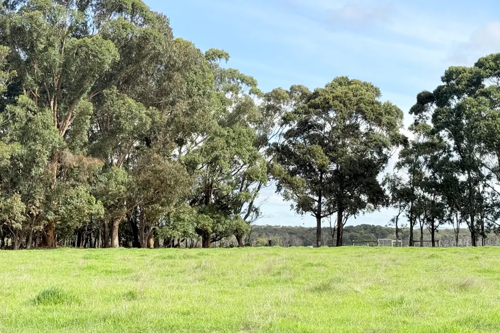 120/238 Link Road, Marbelup, WA, 6330 - Image 10