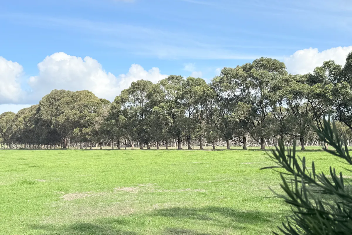 Ajana Drive — photo 5 of 7