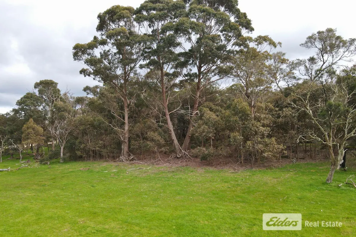 Ajana Drive — photo 3 of 9