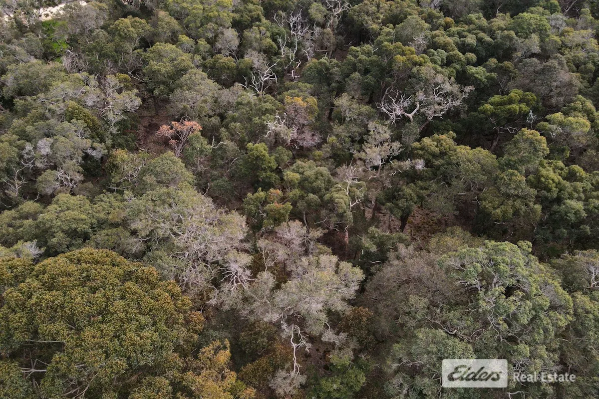 Ajana Drive — photo 8 of 9