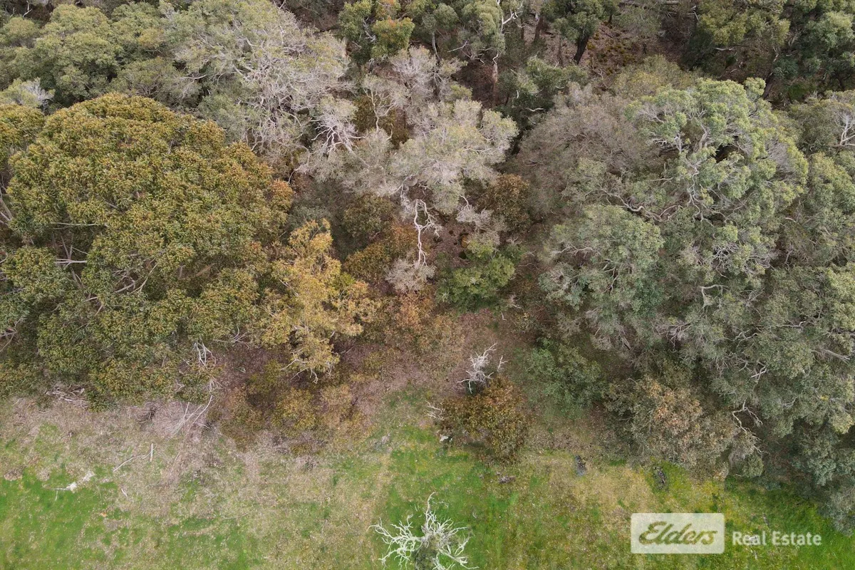 Ajana Drive — photo 6 of 9
