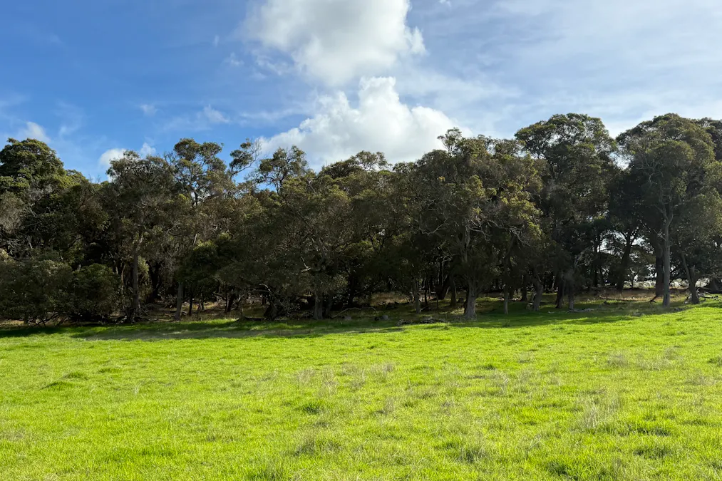 134/238 Link Road, Marbelup, WA, 6330 - Image 5