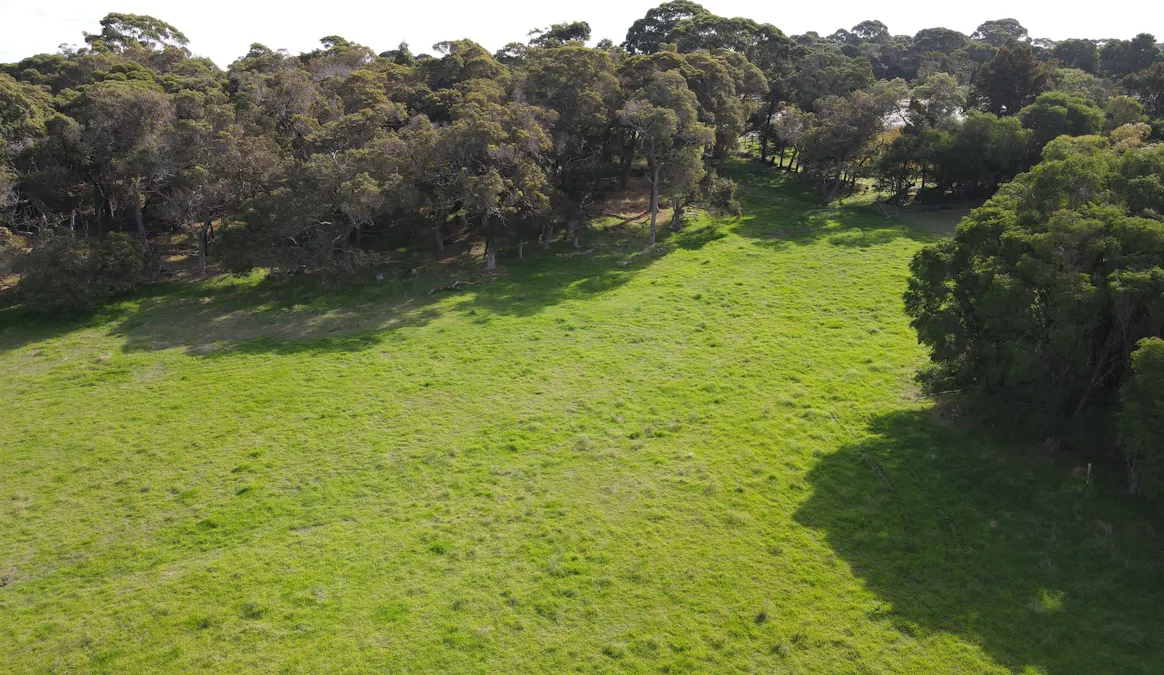 135/238 Link Road, Marbelup, WA, 6330 - Image 6