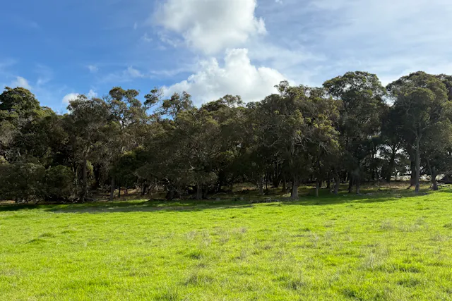 135 / 238 Link Road — photo from Elders Real Estate Albany