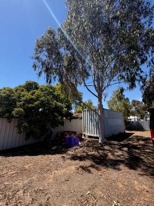 45 Marma Street, Murtoa, VIC, 3390 - Image 5