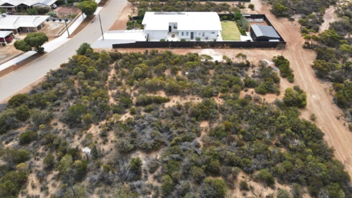 4 Shields Crescent, Wongan Hills, WA, 6603 - Image 3