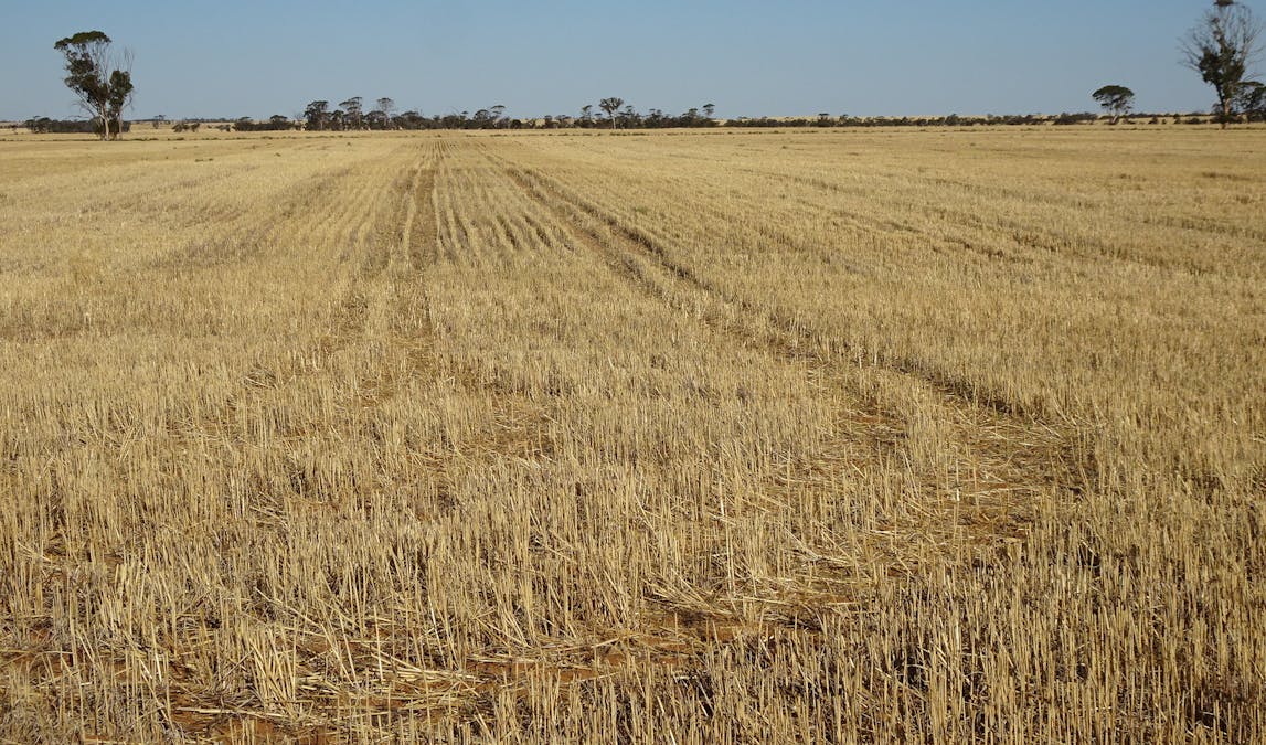 3397 Bendering Road, Kondinin, WA, 6367 - Image 3