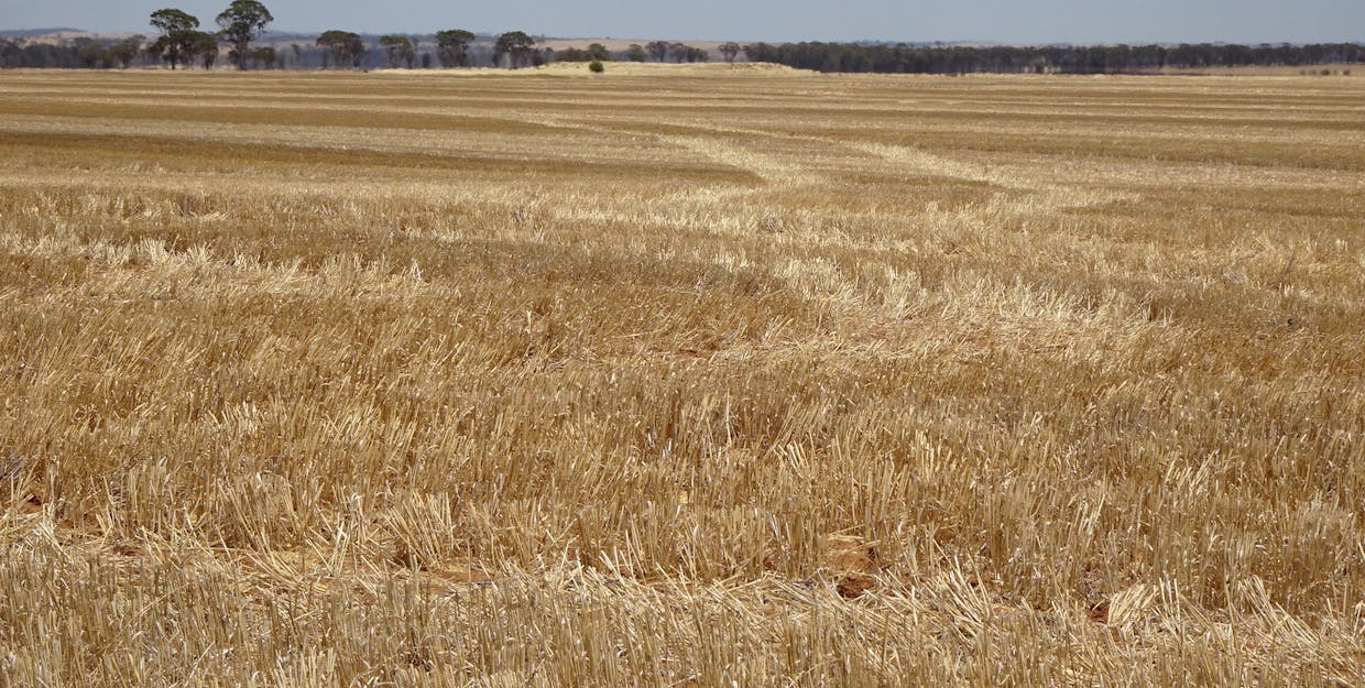 3397 Bendering Road, Kondinin, WA, 6367 - Image 13